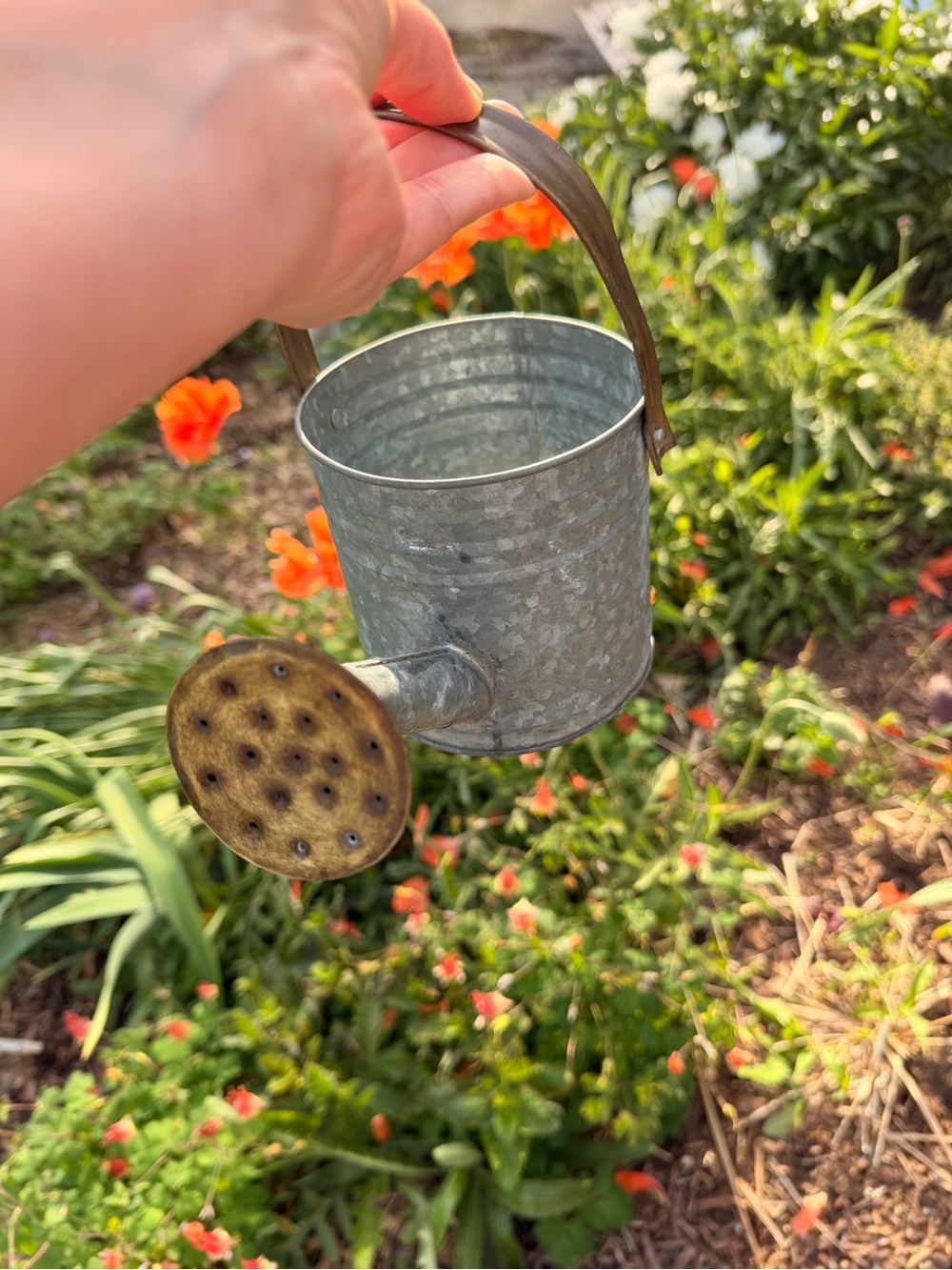 Rustic Metal Watering Can Farmhouse Cottage Garden Decor - Picture 3 of 9